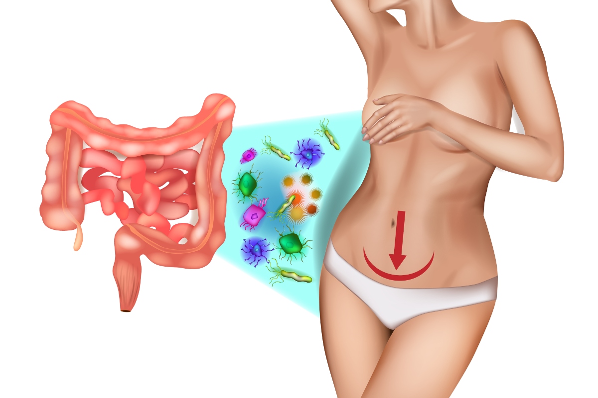 papel y funciones de la microbiota intestinal 